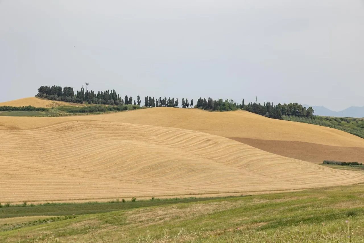 Agriturismo La Valle Della Lavanda - Podere Mezzastrada Fauglia Farma