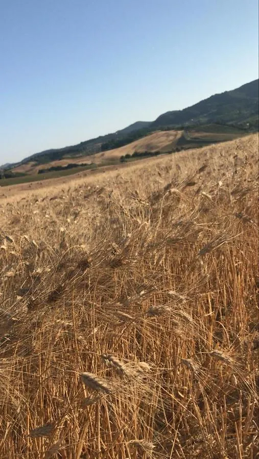 Agriturismo La Valle Della Lavanda - Podere Mezzastrada Fauglia