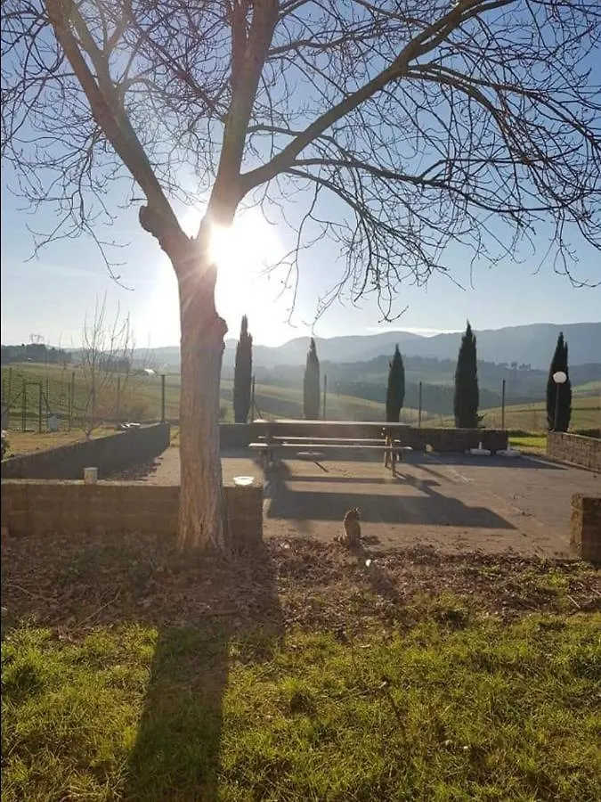 Agriturismo La Valle Della Lavanda - Podere Mezzastrada Fauglia 0*,